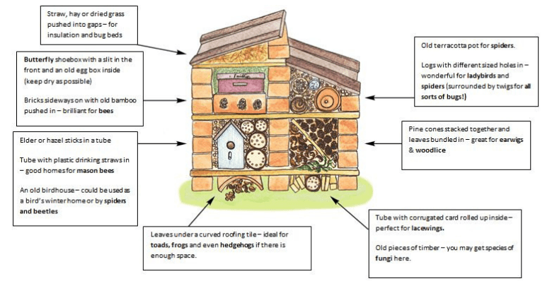 how-to-build-a-bug-hotel